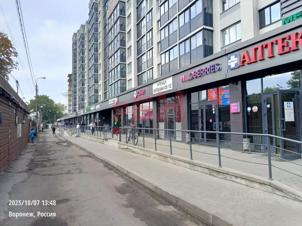 Торговая площадь в Воронежская область, Воронеж ул. Димитрова, 131 ... - Фото 1
