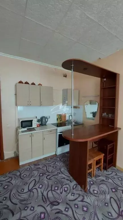 Студия Московская область, Щелково Московская ул., 37 (29.0 м) - Фото 2