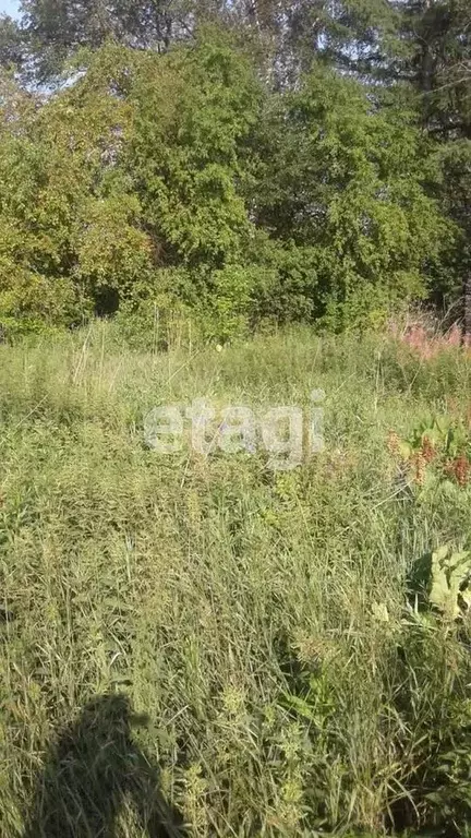 Участок в Свердловская область, Талицкий городской округ, д. Тарасова ... - Фото 1