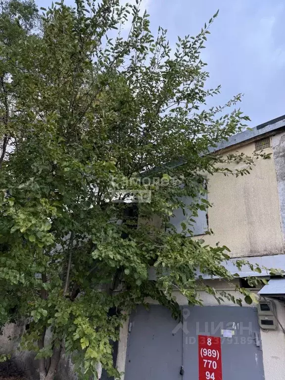 Гараж в Краснодарский край, Новороссийск ул. Куникова, 92 (55 м) - Фото 2