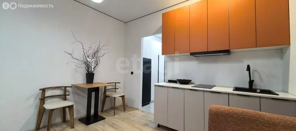 Квартира-студия: Новая Адыгея, Песочная улица, 1к5 (25.7 м) - Фото 2