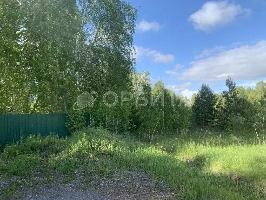 Участок в Тюменская область, Тюменский район, Новокаменский кп ул. ... - Фото 1