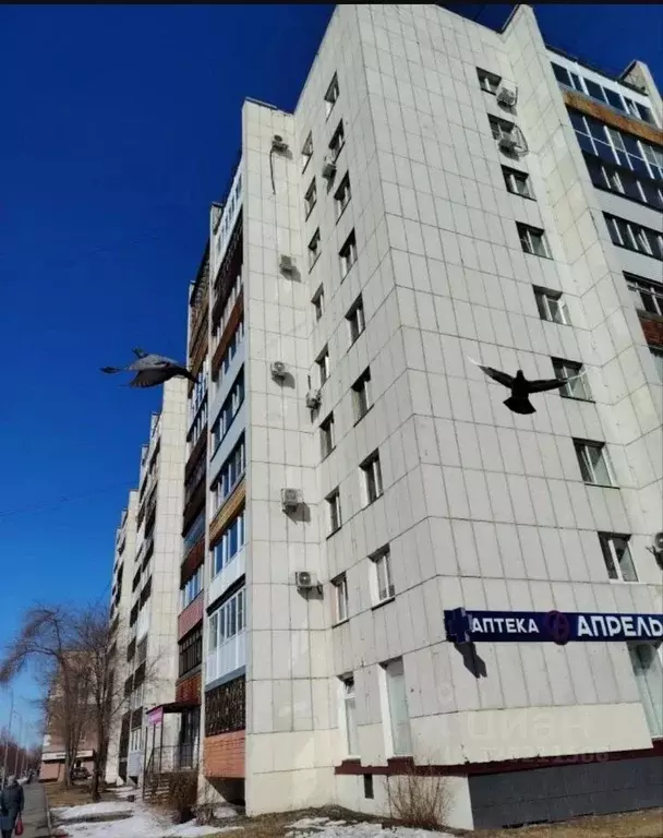 1-к кв. Курганская область, Курган ул. Томина, 78 (34.0 м) - Фото 1