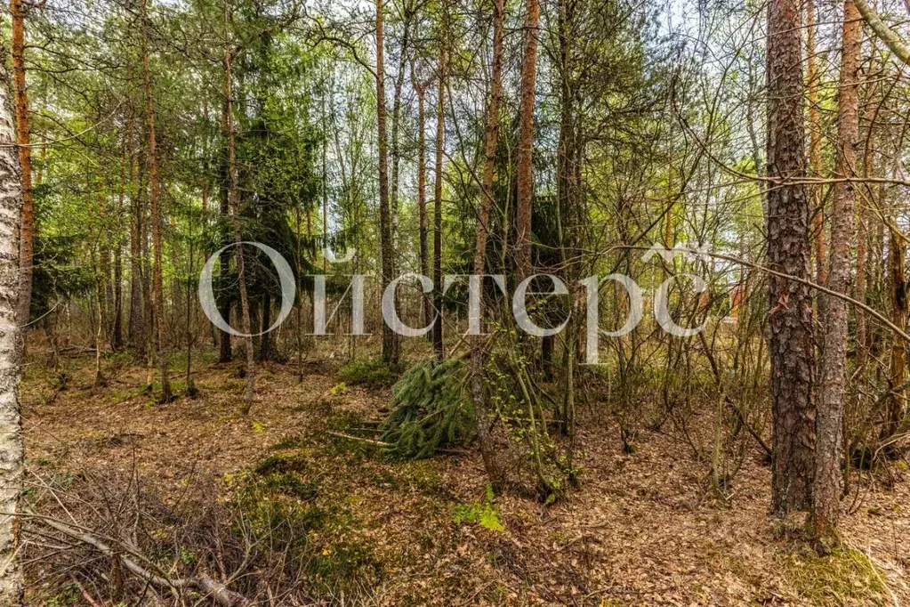 Участок в Ленинградская область, Всеволожский район, Сертоловское ... - Фото 1