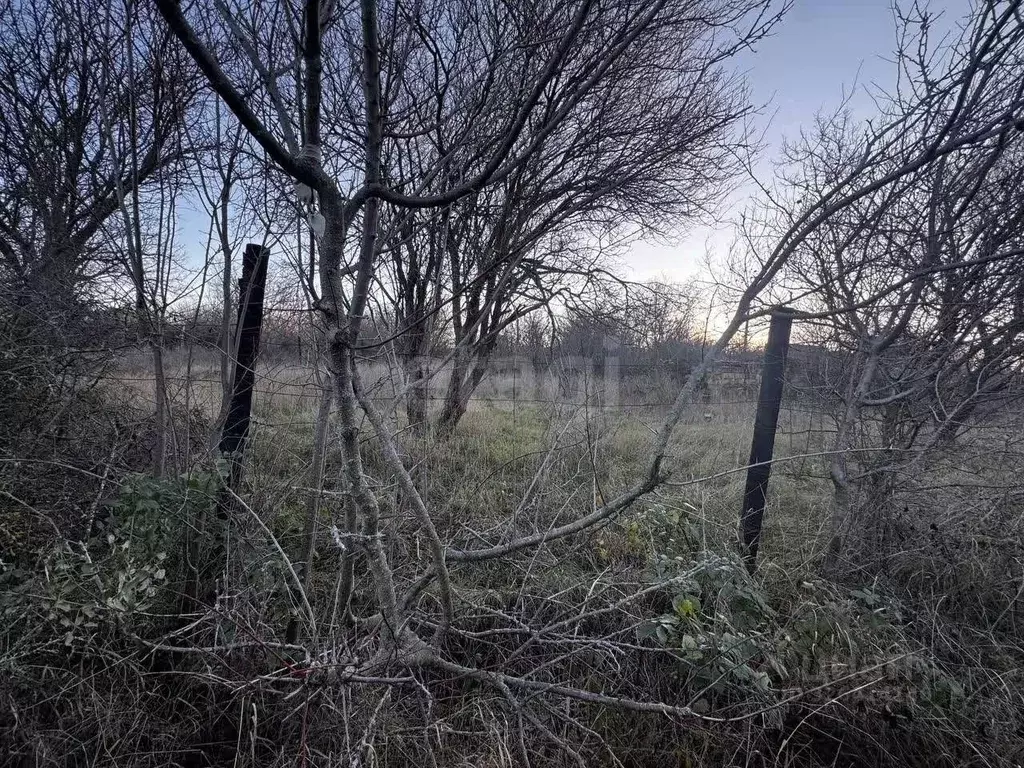 Участок в Ленинградская область, Тосненский район, Форносовское ... - Фото 1