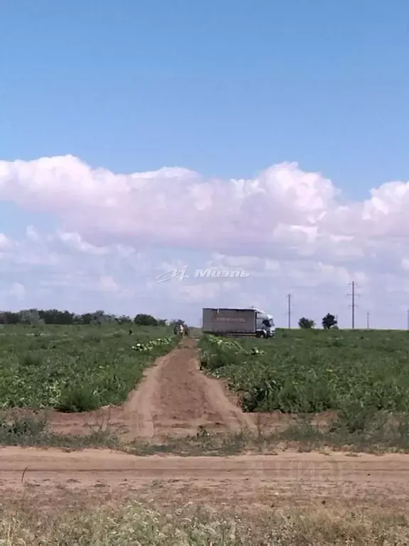 Участок в Крым, Красноперекопский район, Вишневское с/пос, с. Уткино ... - Фото 2