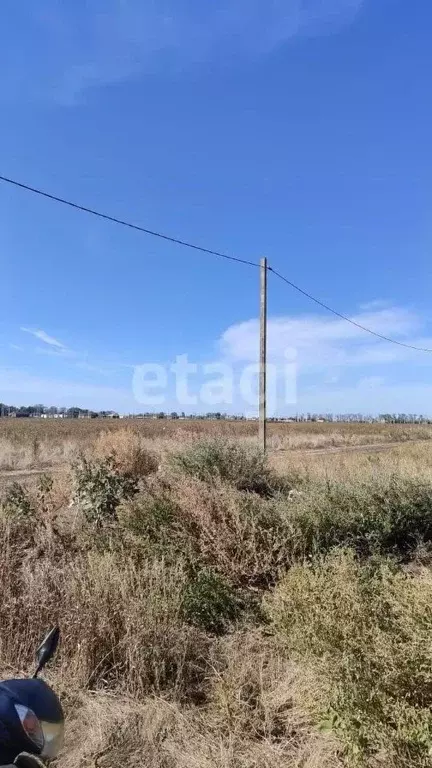 Участок в Ростовская область, Азовский район, Новоалександровское ... - Фото 1