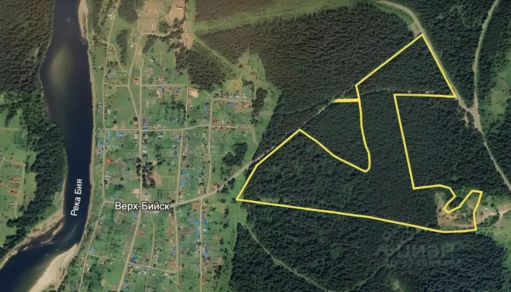 Участок в Алтай, Турочакский район, с. Верх-Бийск  (21.93 сот.) - Фото 2