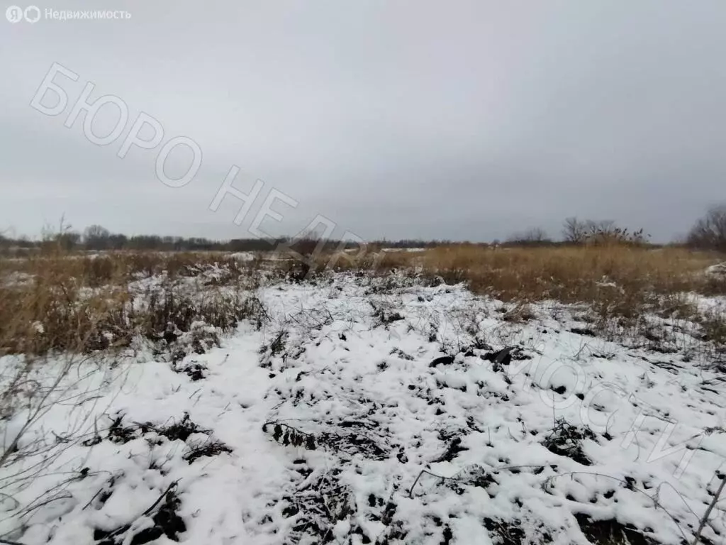 Участок в село Хоперское, Сельская улица (10 м) - Фото 0