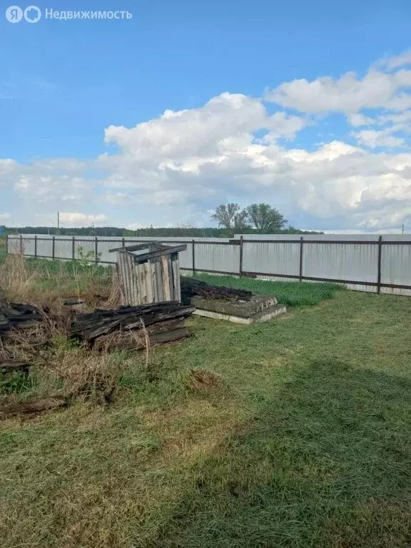 Участок в Тюменская область, Заводоуковский муниципальный округ, село ... - Фото 1