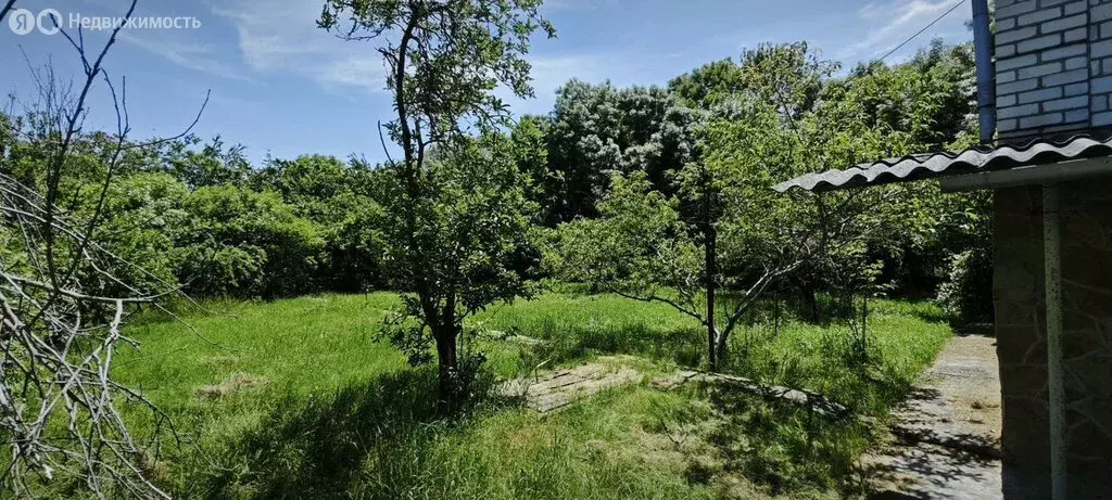 Участок в Абрау-Дюрсо, улица Мира, 33Б (5.5 м) - Фото 2