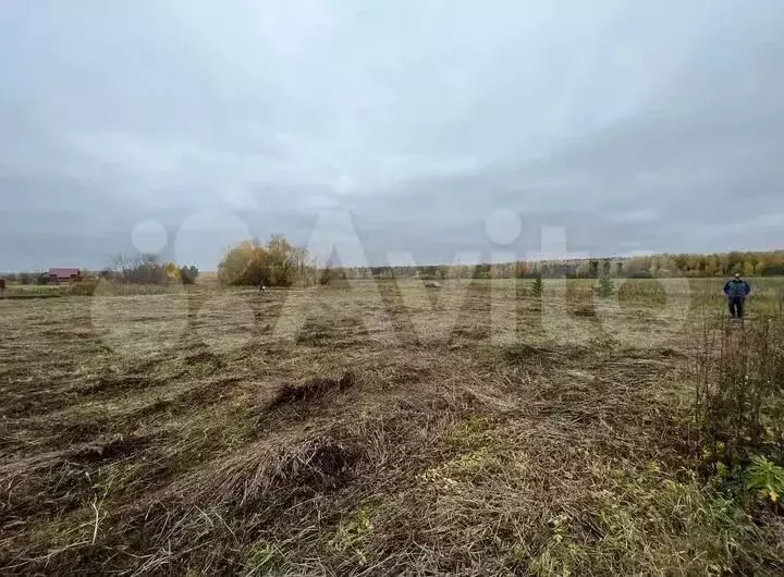 Участок 38 сот. (ИЖС) - Фото 1