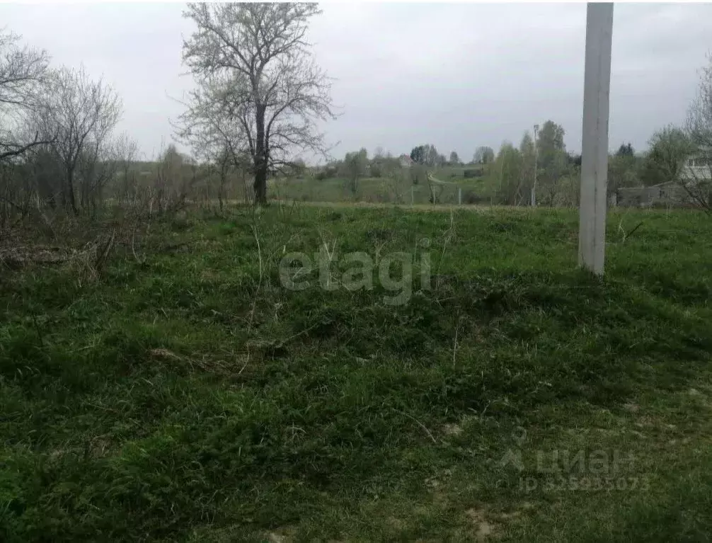 Участок в Калужская область, Козельский муниципальный округ, Деревня ... - Фото 1