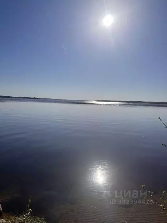 Участок в Ленинградская область, Приозерский район, Громовское с/пос  ... - Фото 0