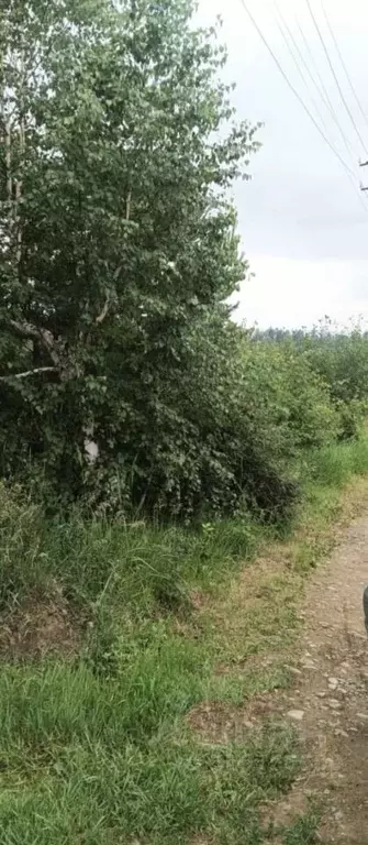 Участок в Иркутская область, Иркутский муниципальный округ, Пролетарий ... - Фото 2