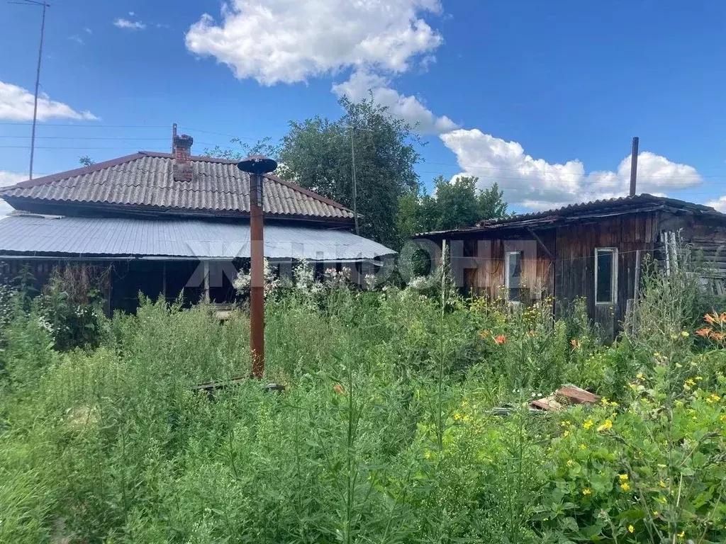 Дом в Новосибирская область, Коченевский район, д. Крохалевка ул. Мира ... - Фото 1