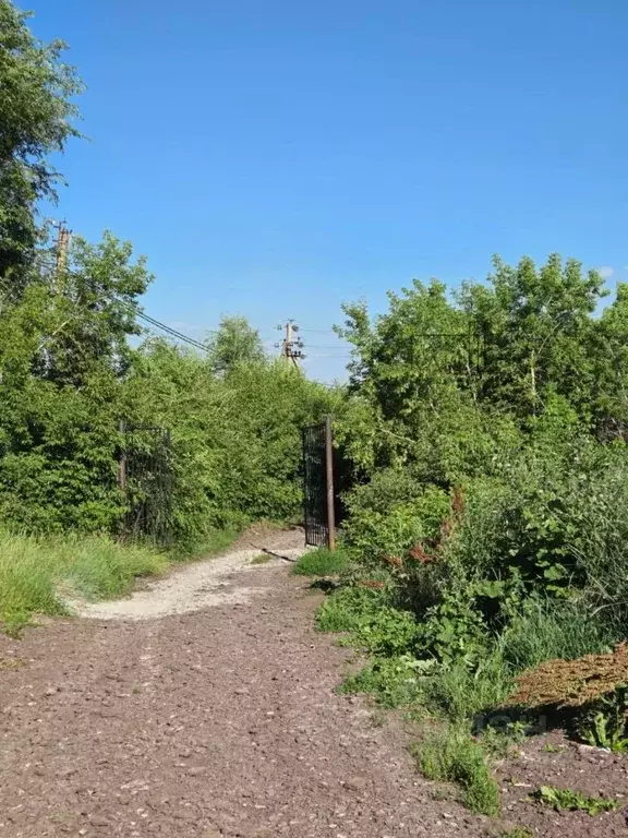 Участок в Челябинская область, Магнитогорск Строитель-3 садоводческое ... - Фото 0
