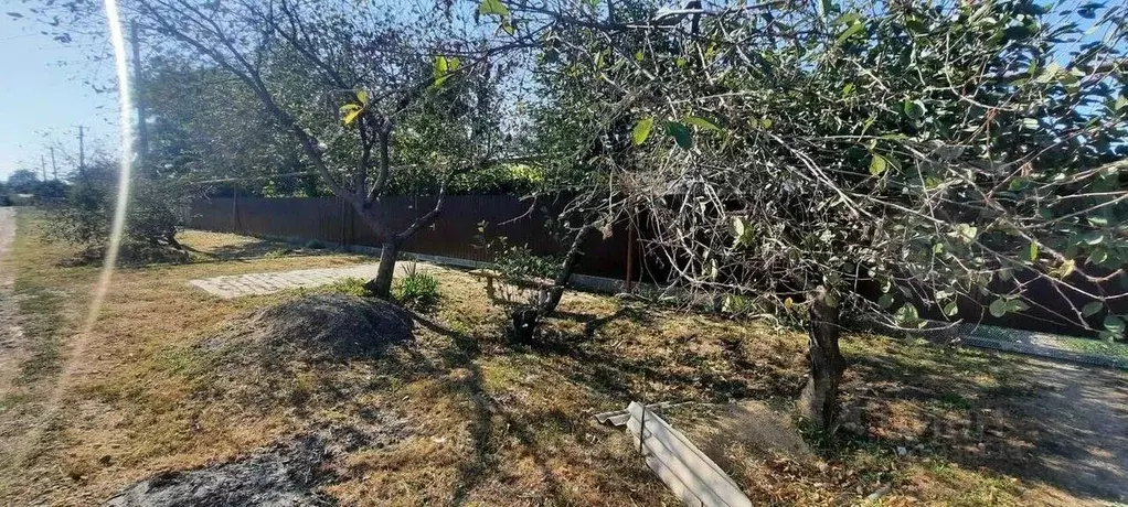 Участок в Краснодарский край, Динской район, Нововеличковское с/пос, ... - Фото 1