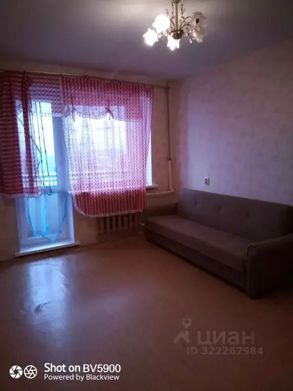 1-к кв. Псковская область, Псков Инженерная ул., 21 (32.8 м) - Фото 1