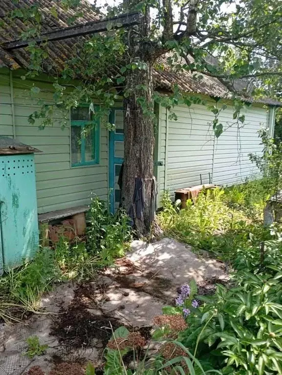 Дом в Смоленская область, Смоленский муниципальный округ, д. Шеломец ... - Фото 1