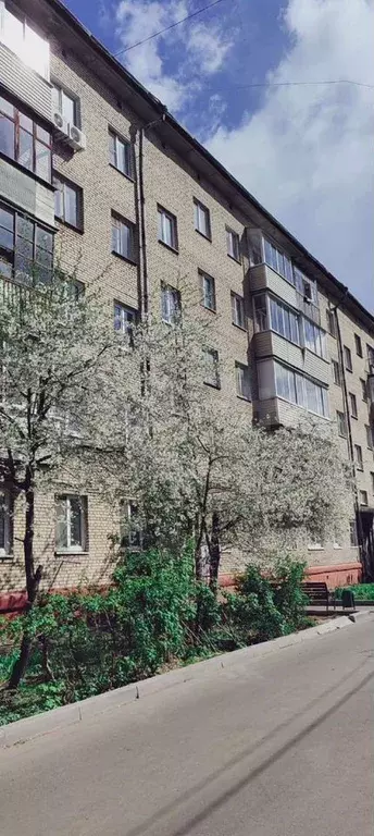 1-к. квартира, 30,2 м, 4/5 эт. - Фото 0