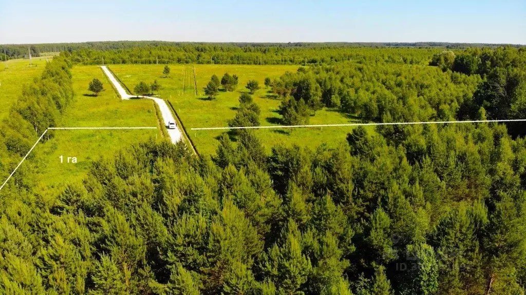 Участок в Тульская область, Заокский район, Страховское с/пос, д. ... - Фото 1