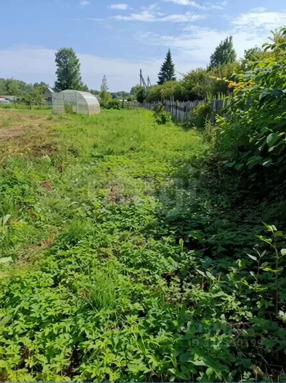 Участок в Ярославская область, Ярославский муниципальный округ, д. ... - Фото 1
