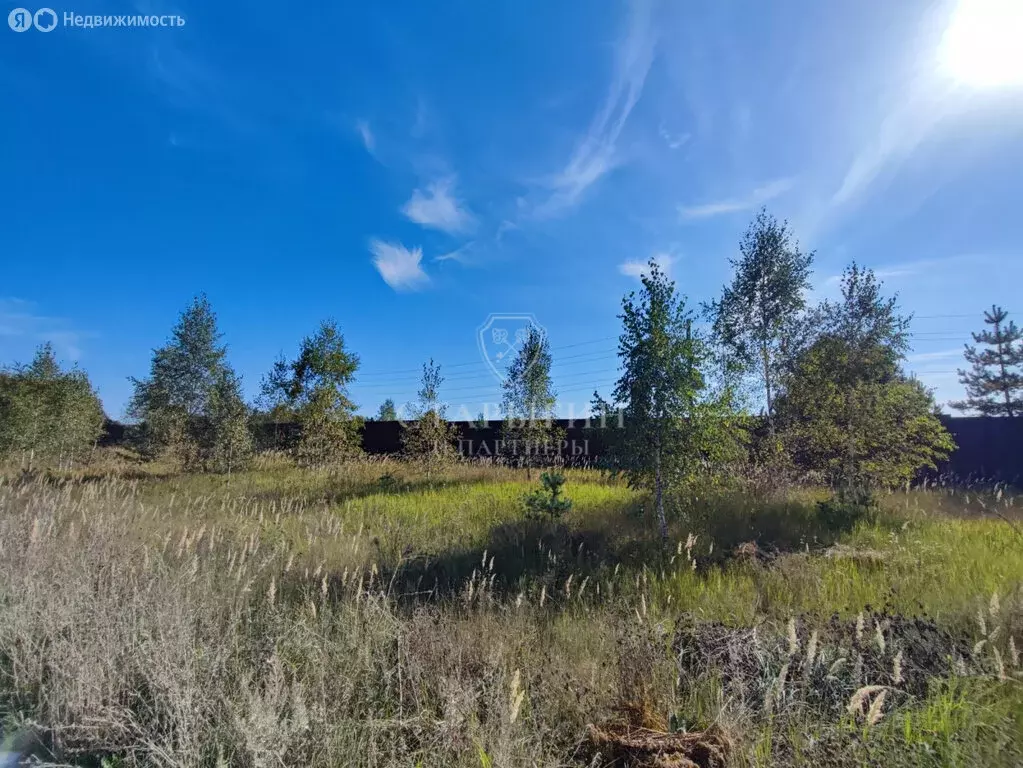 Участок в Владимирская область, Петушинский муниципальный округ, ... - Фото 1