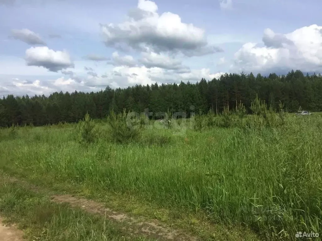 Участок в Свердловская область, Полевской муниципальный округ, с. ... - Фото 1