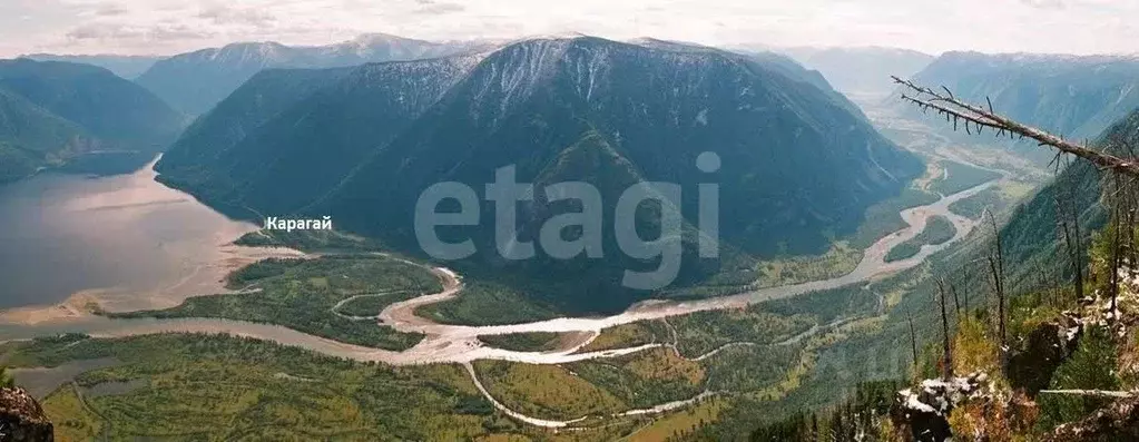 Помещение свободного назначения в Алтай, Улаганский район, с. Балыкча ... - Фото 1