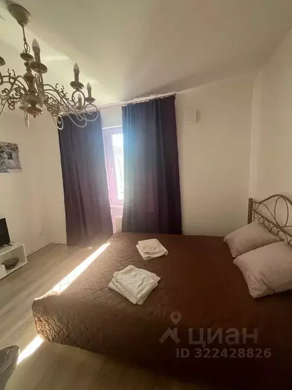 Студия Санкт-Петербург ул. Пахомовская, 23 (19.0 м) - Фото 1