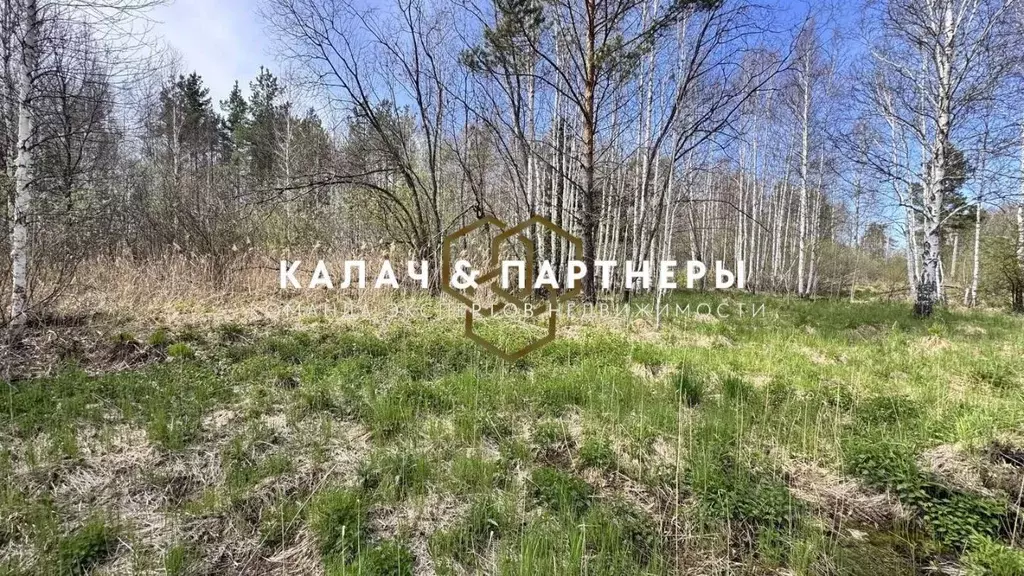 Участок в Свердловская область, Березовский муниципальный округ, пос. ... - Фото 2