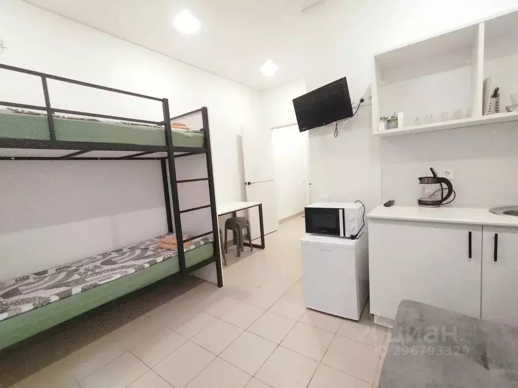 1-к кв. Татарстан, Казань ул. Карла Маркса, 58/12 (19.0 м) - Фото 2