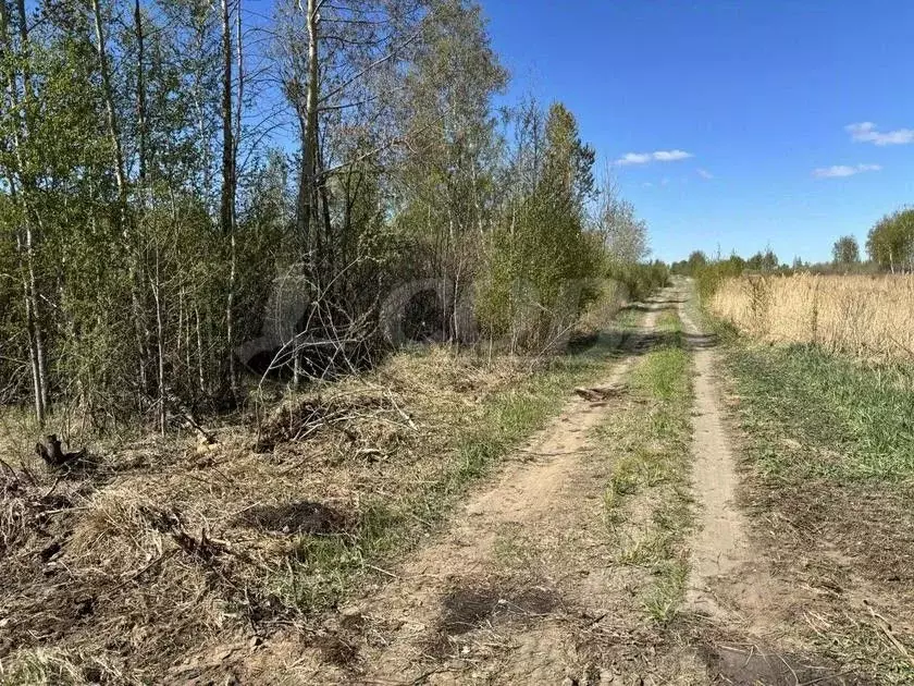 Участок в Тюменская область, Нижнетавдинский район, Строитель ТСН  ... - Фото 0