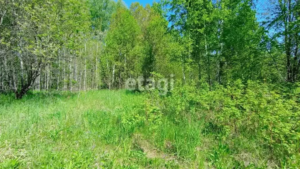 Участок в Новосибирская область, Искитимский район, Морозовский ... - Фото 1