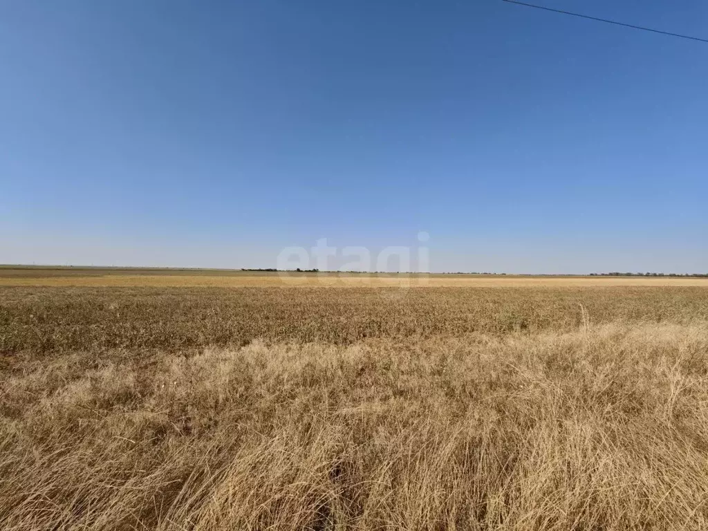 Участок в Крым, Сакский район, с. Лесновка  (750.0 сот.) - Фото 1