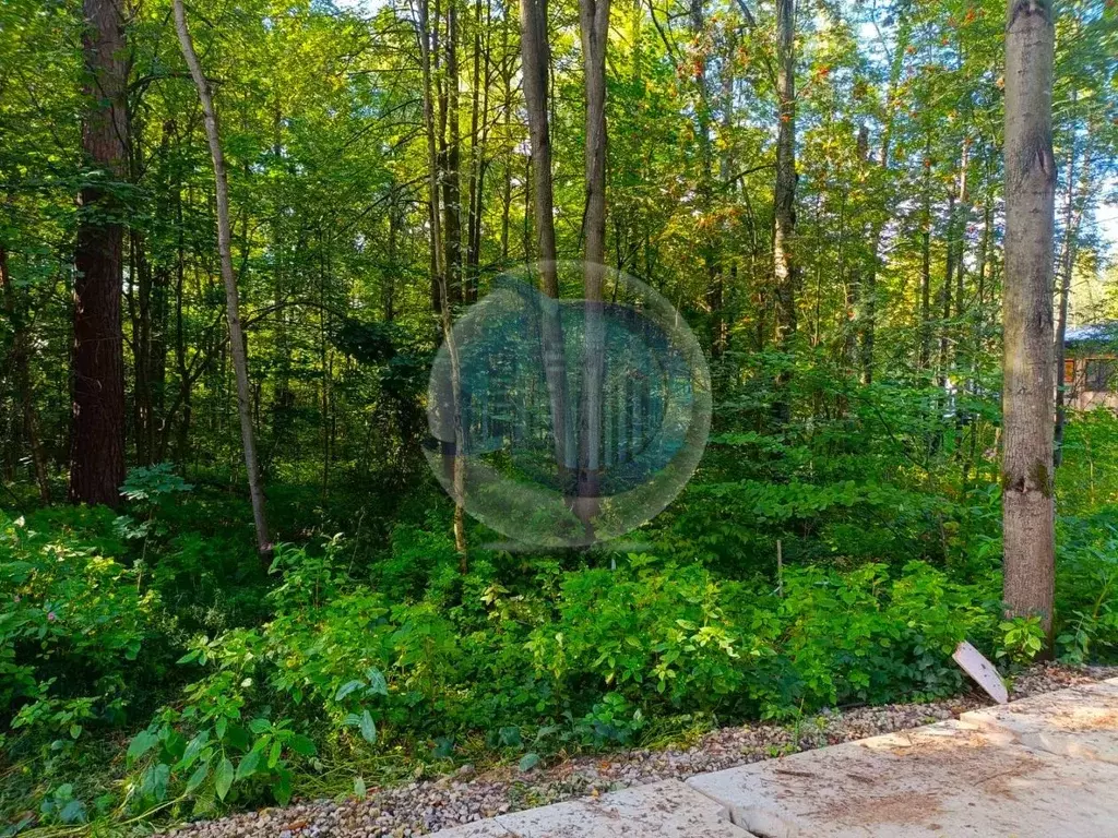 Участок в Московская область, Ленинский городской округ, д. Спасские ... - Фото 2