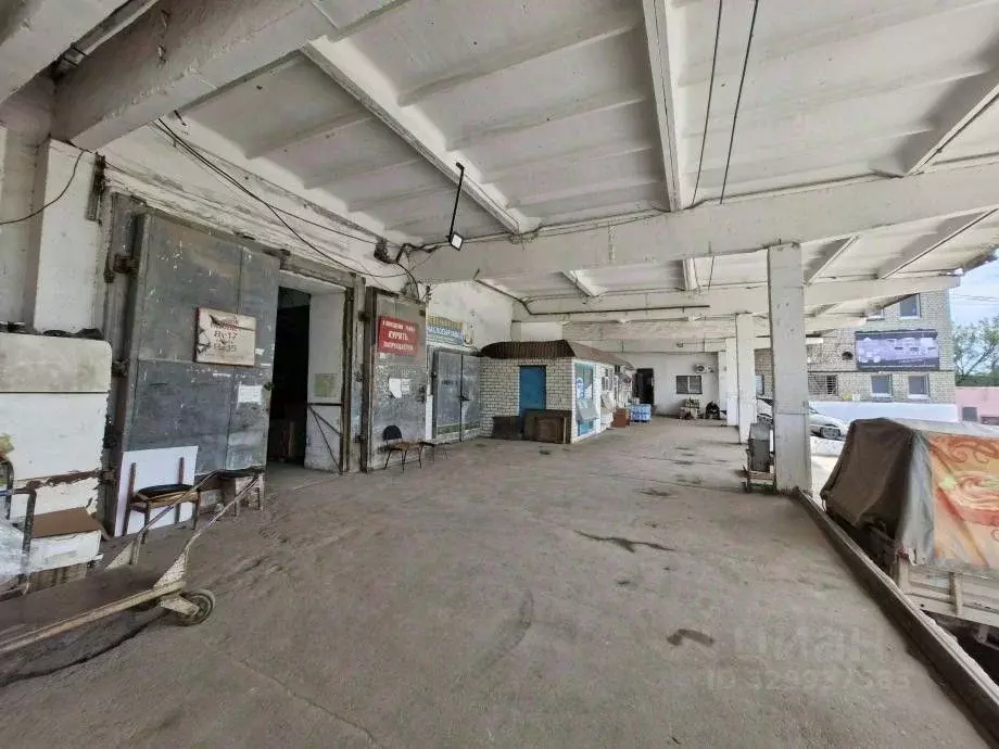 Склад в Саратовская область, Саратов Сокурский тракт, 7 (55 м) - Фото 1