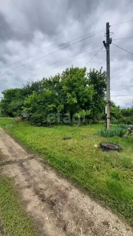 Участок в Воронежская область, Хохольский район, с. Кочетовка ... - Фото 0