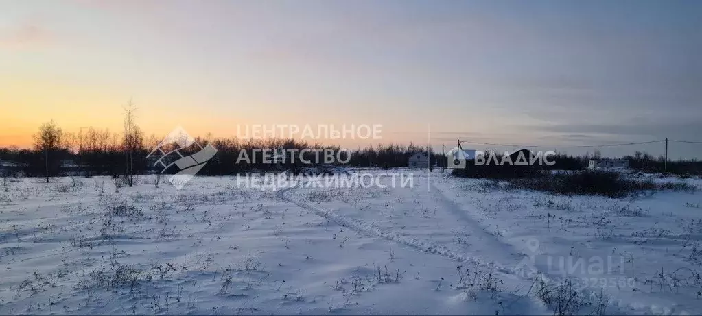 Участок в Рязанская область, Рыбновский муниципальный округ, с. ... - Фото 2