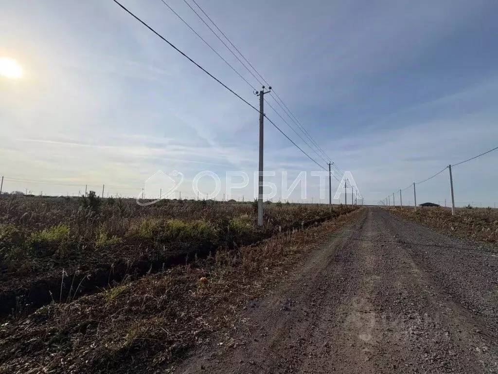 Участок в Тюменская область, Тюменский муниципальный округ, д. ... - Фото 2