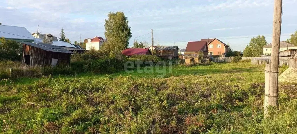 Участок в Пермский край, Пермский муниципальный округ, д. Няшино ул. ... - Фото 1