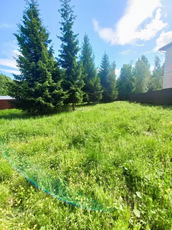 Участок в Московская область, Одинцовский городской округ, д. Сивково, ... - Фото 1