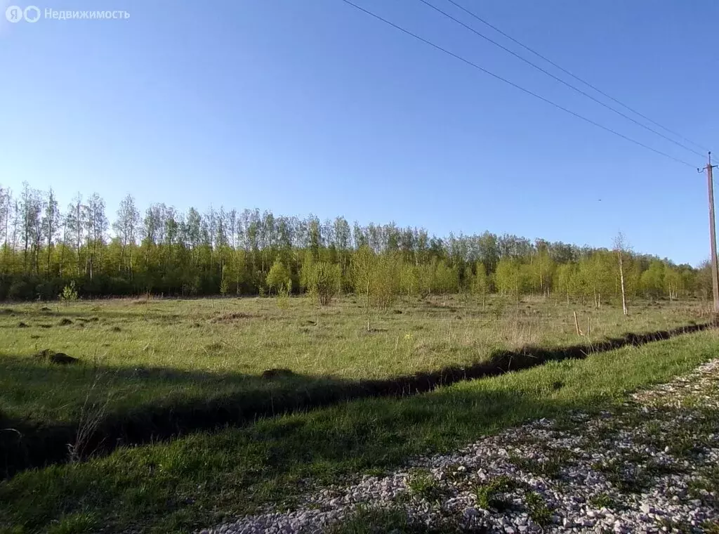 Участок в Московская область, городской округ Ступино, село Ивановское ... - Фото 1