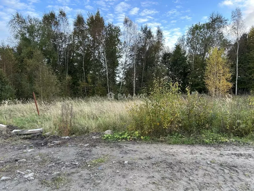 Участок в Калининградская область, Гурьевский муниципальный округ, ... - Фото 2