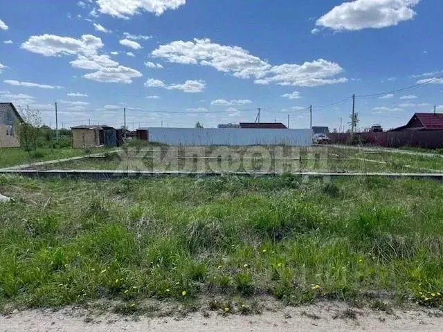 Участок в Новосибирская область, Новосибирский район, Кубовинский ... - Фото 1