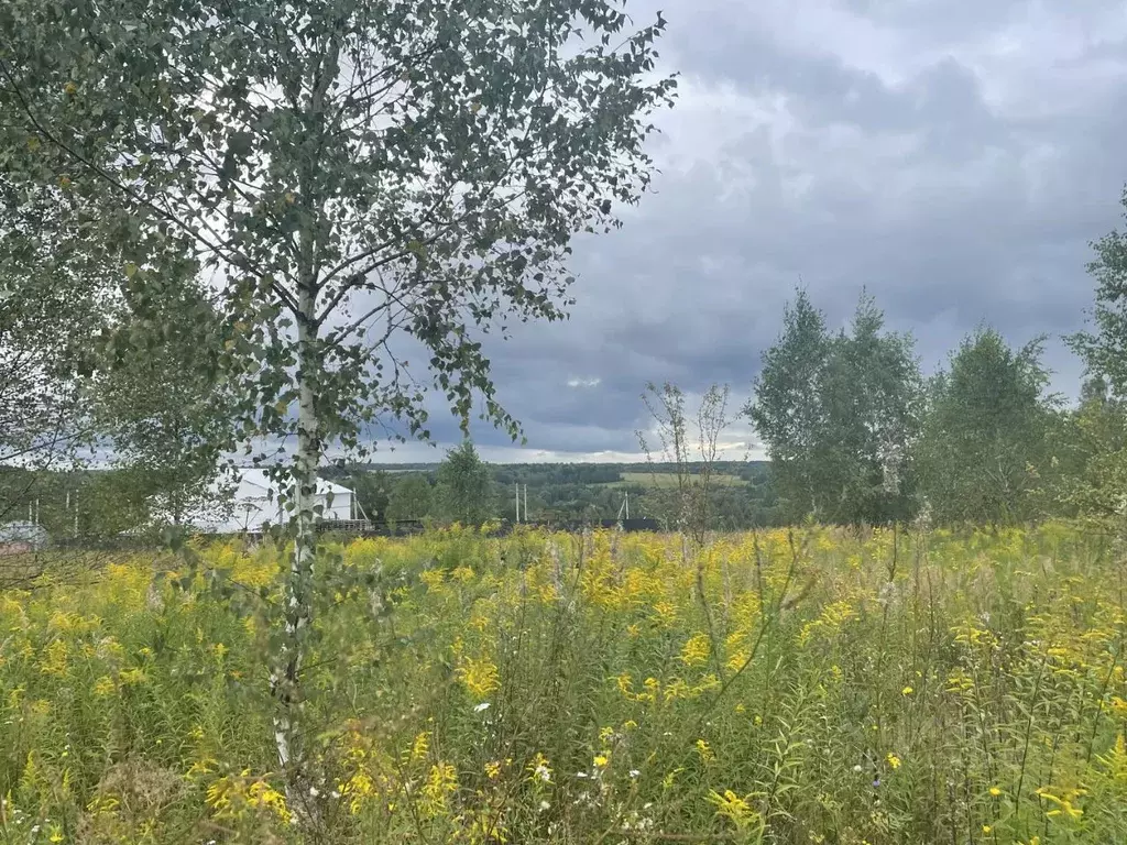 Участок в Тульская область, Заокский район, Малаховское с/пос, д. ... - Фото 2