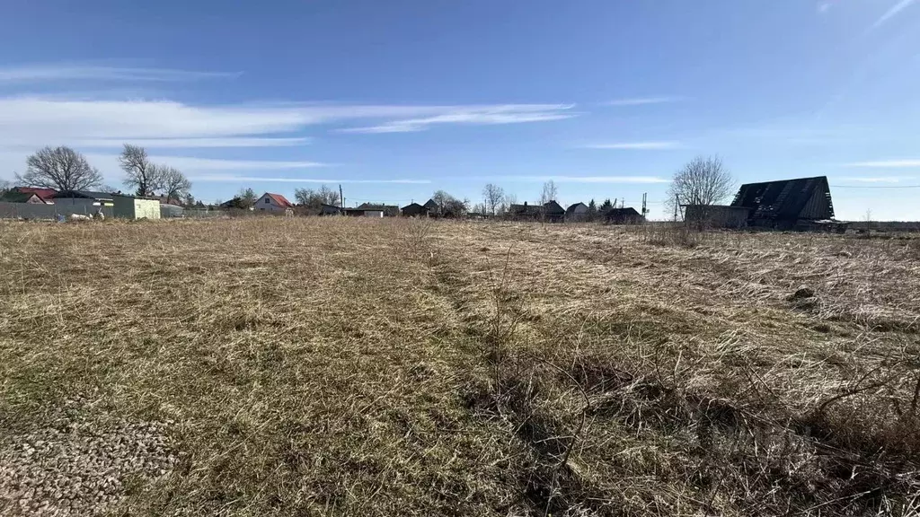 Участок в Ленинградская область, Волосовский район, Клопицкое с/пос, ... - Фото 1