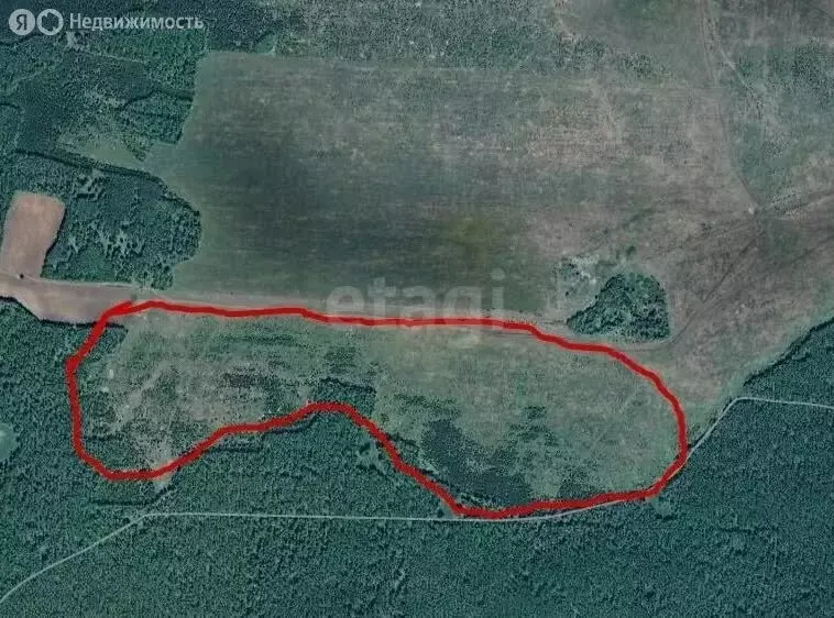Участок в Челябинская область, Каслинский муниципальный округ, село ... - Фото 2