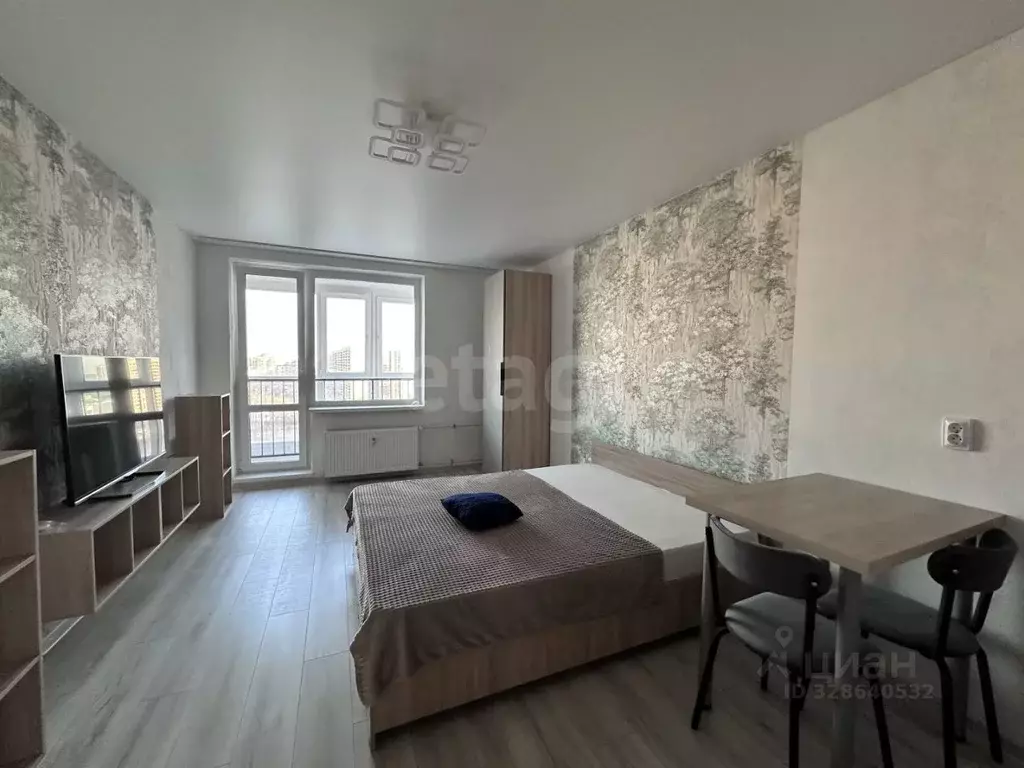 Студия Ленинградская область, Мурино Всеволожский район, просп. ... - Фото 1